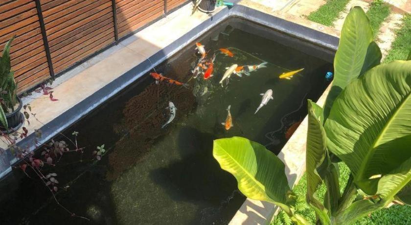 Palmhouse Otel Mae Hong Son Dış mekan fotoğraf